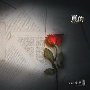 国产成人动作在线
